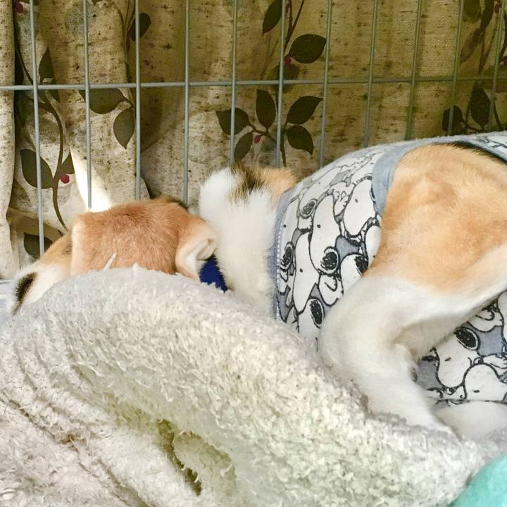 A33c656b 3723 4bcb 9caa 58ef6b01d496 1757817409584