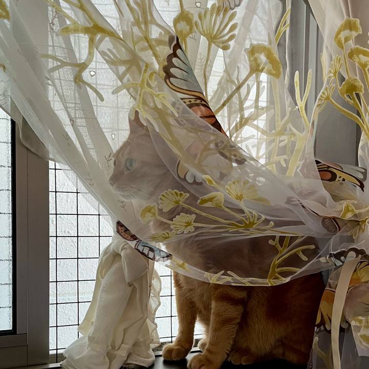 A33c8f4e cba4 4537 8480 df47695e1c47 1694040409836