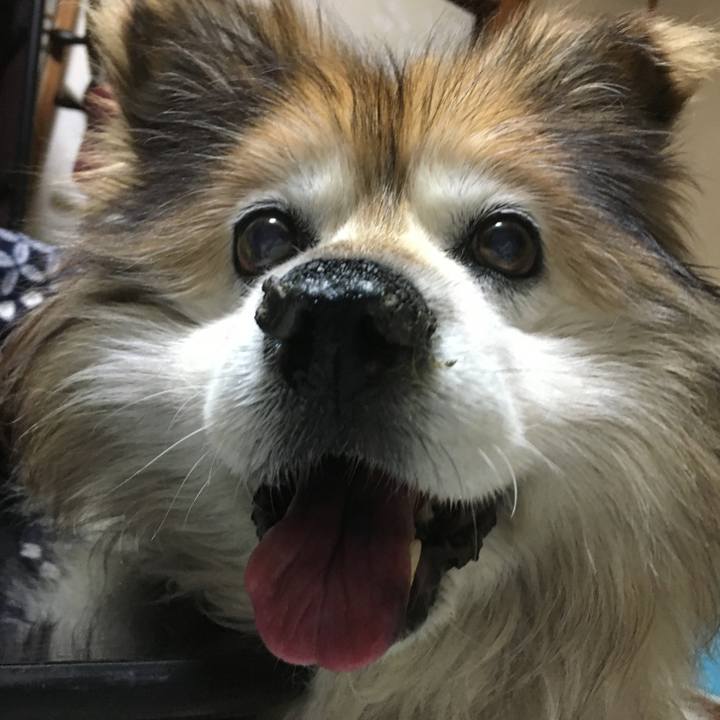 A33cc0ac 0c02 42b5 bd58 5f57d6da68a6 1603862408943