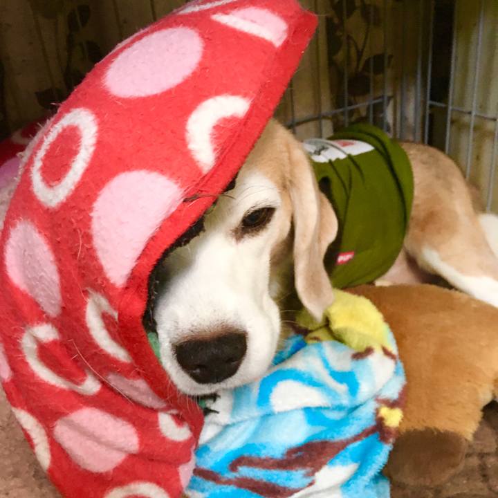 A33cc0fd 3254 4ef9 bb3a d6384db636c4 1572673152797