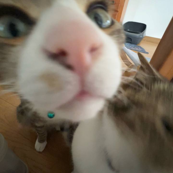 A33cd5bc 85d3 4d56 ba81 a819615a3cd5 1722600009789