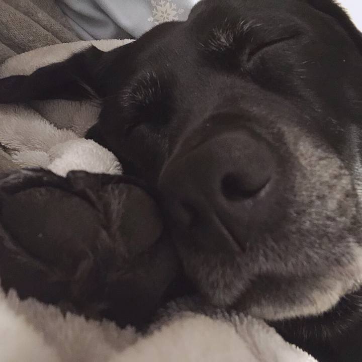 A33cfc32 2167 46f4 a032 29a07445720f 1549721132705