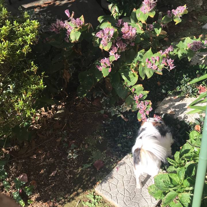 A33d3b81 16b0 4c89 98e4 d564e6176447 1603981425668