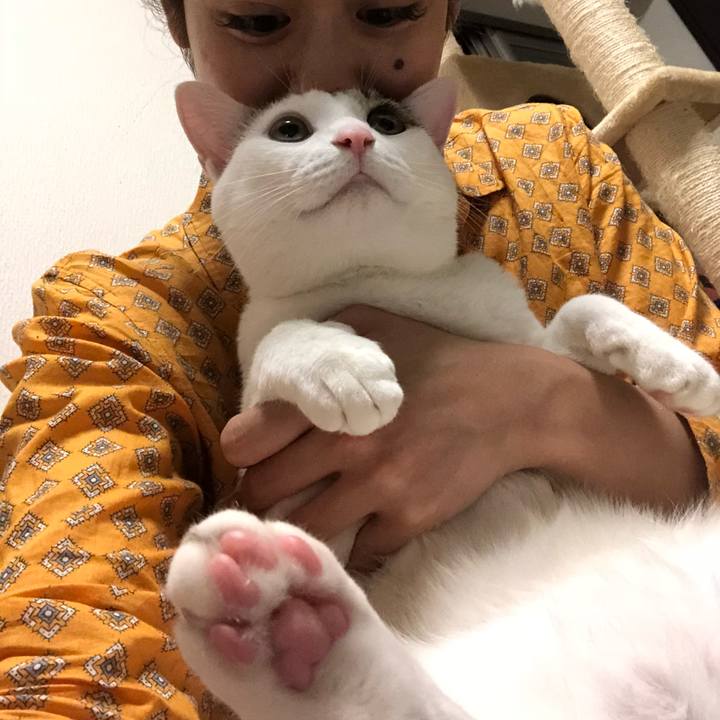 A33d4a91 bd8a 4ca1 99a1 f80e212835f2 1529144115903