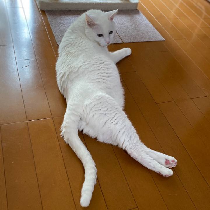 A33d68b6 8f42 4128 95e0 32d52a437950 1758621280289