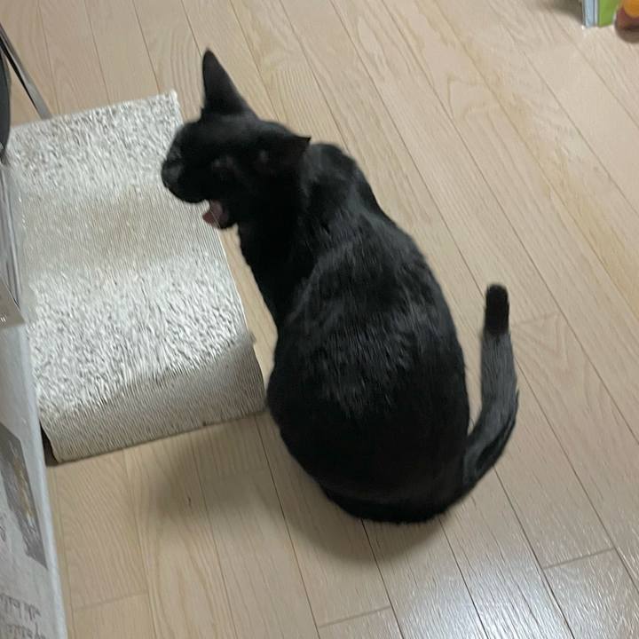 A33d6a0c d5e5 461f 8a30 6a1d85367e16 1769866195799