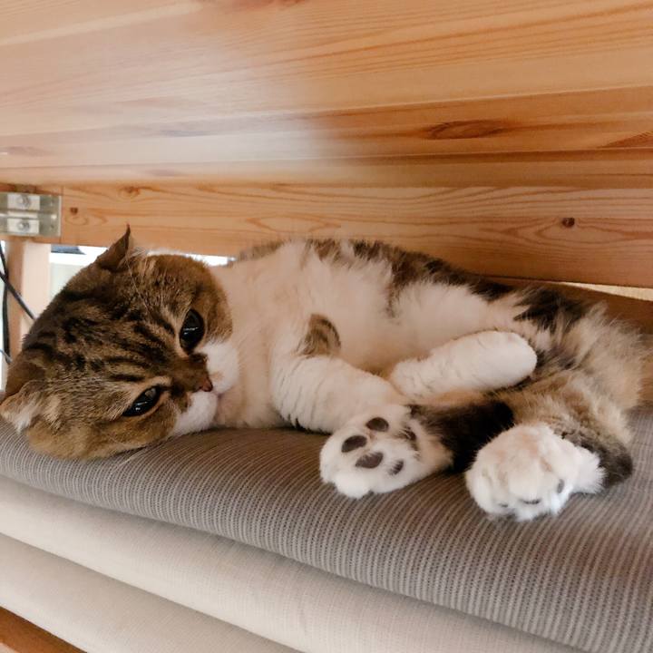 A33d9c7a ecc9 4a05 9d14 8415ff27e2c2 1570879912180