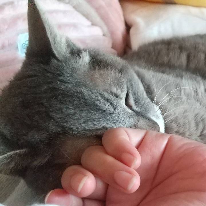 A33dcbbd 8ea9 4e76 8313 b9fde6113a9f 1694994142014