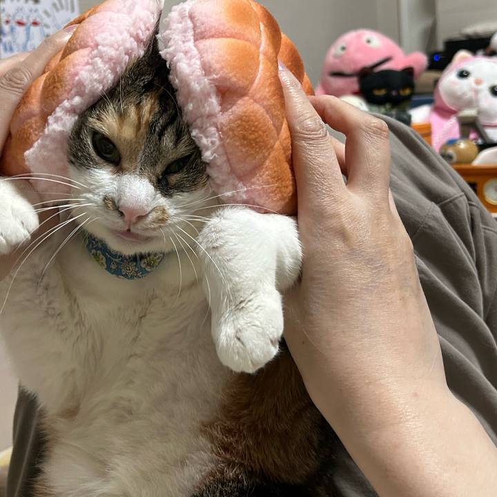 A33de1d2 8ca1 4a44 8fa7 9895d960b39c 1763414641217