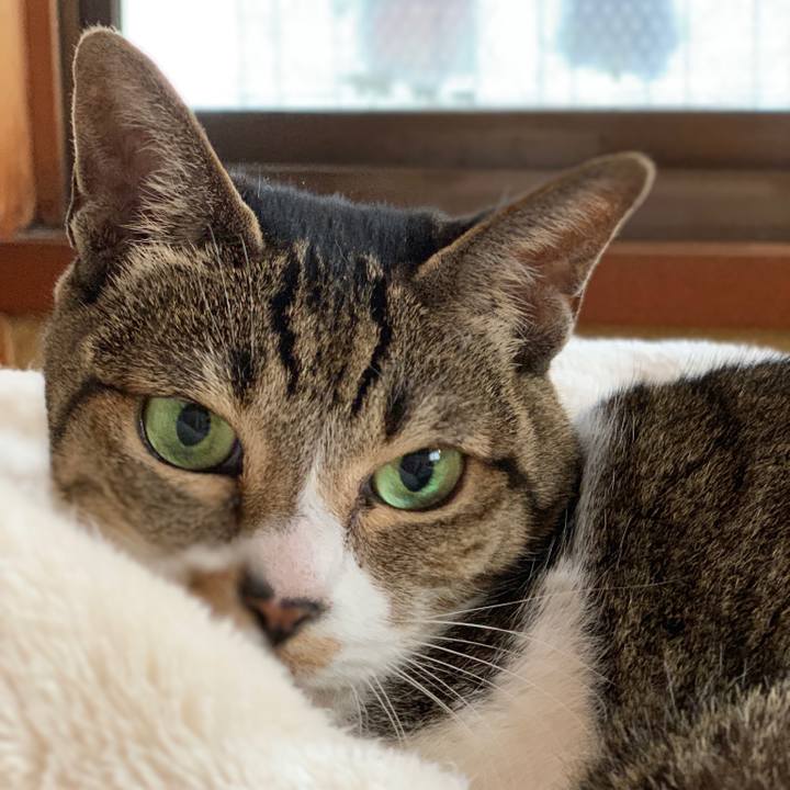 A33deba5 b644 4867 9bed e9d4f883b583 1543280973014