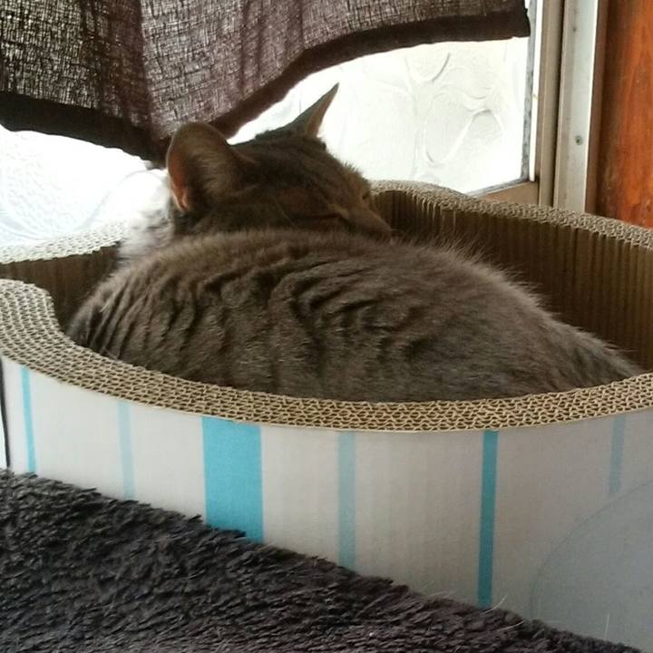 A33e5e3a 14e4 48b1 9f2f d938fe9d4636 1588231777490