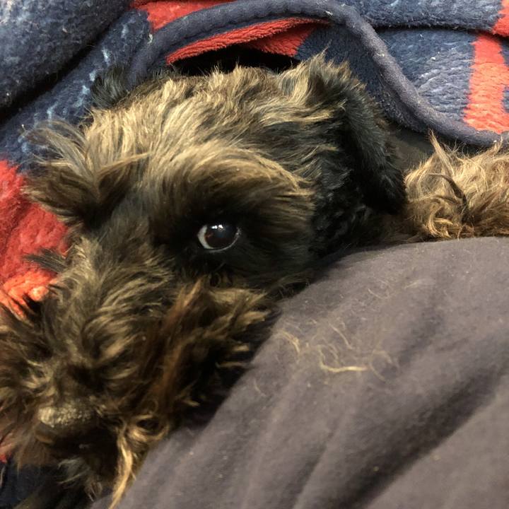 A33e6961 b37b 4f97 9fe1 72dfae3bb33c 1583634458464