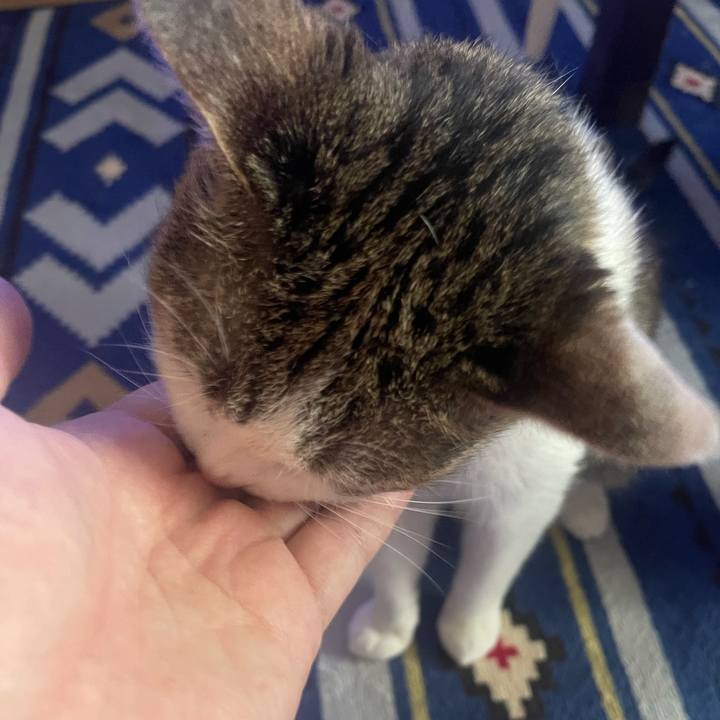 A33e7456 a2e5 423d 930f 5b85aa45150c 1625107807538