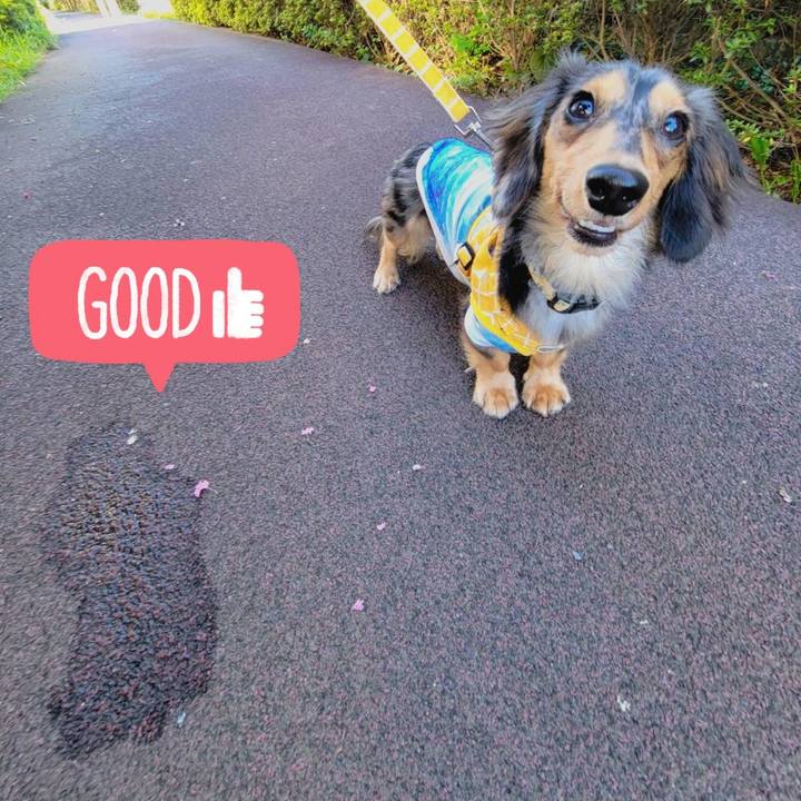 A33e8f89 232d 434b 935e 974382ea9e67 1726270894987