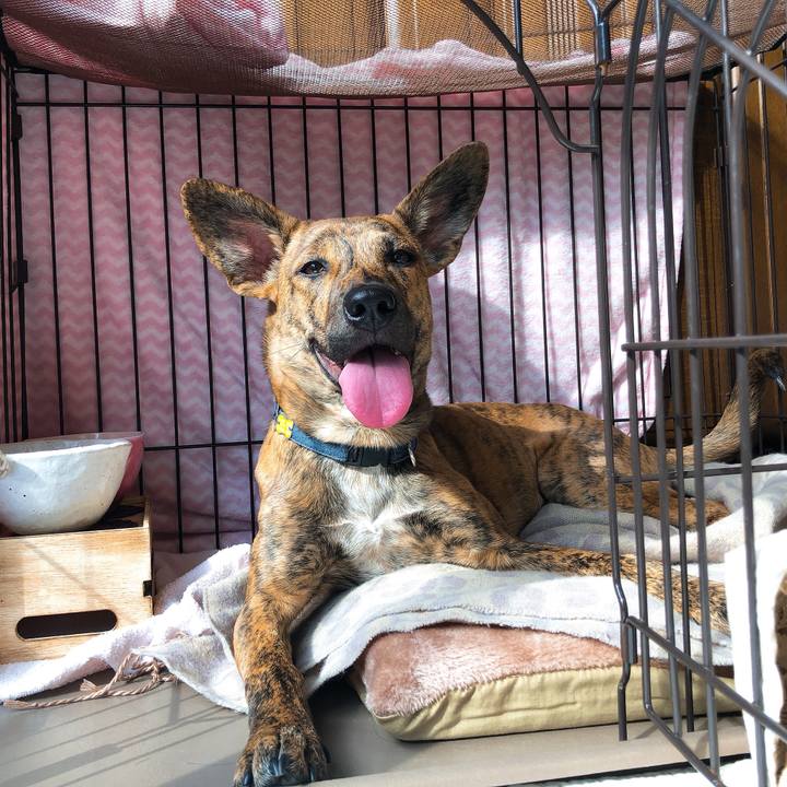 A33e99d6 3560 49c5 a08f d140a9945034 1579320388681