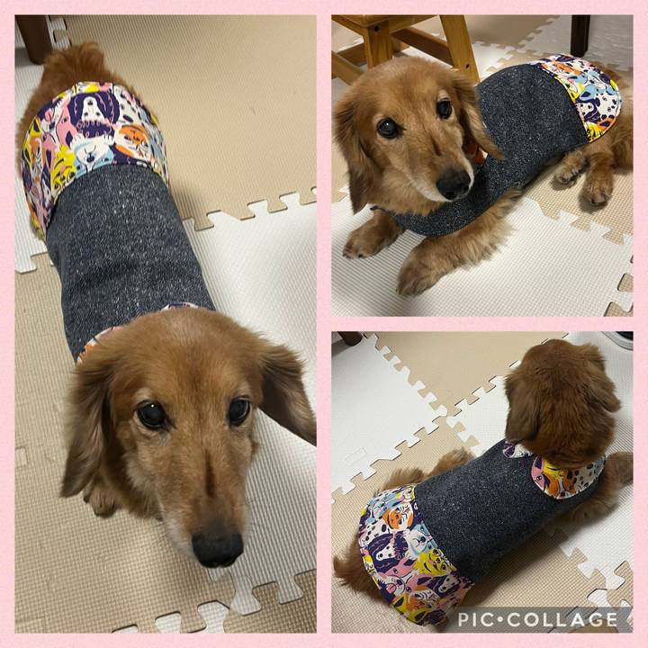 A33f26c4 a993 4f33 80fa bca8a8beb8ac 1643969655901