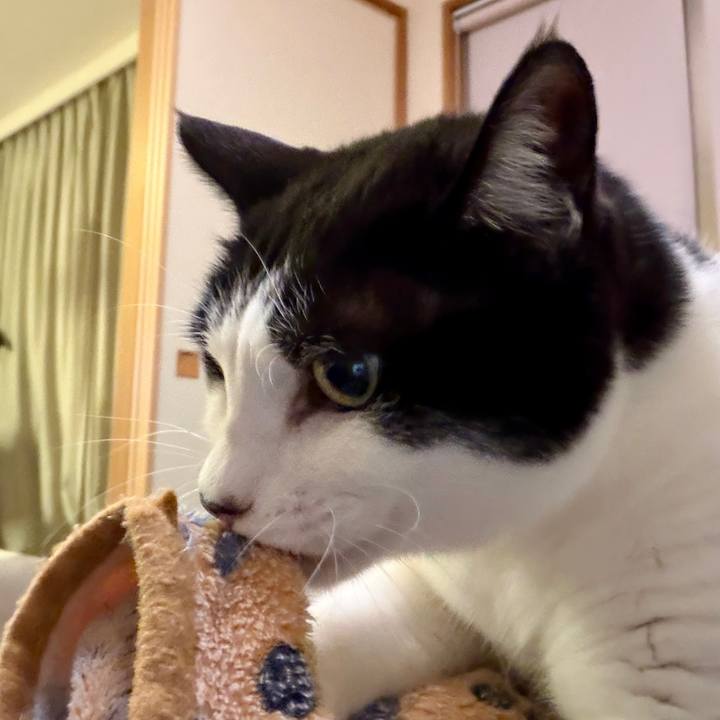 A33f37b9 806a 41f7 83ff 1d407565b0fb 1772903985848