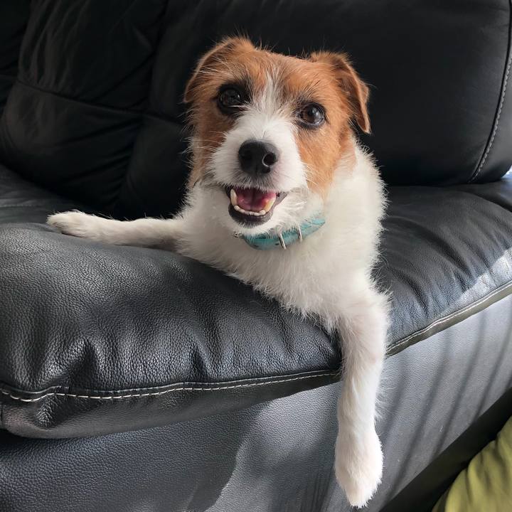 A33f4c51 4420 4948 9077 a3efe7fd66e7 1569835569546