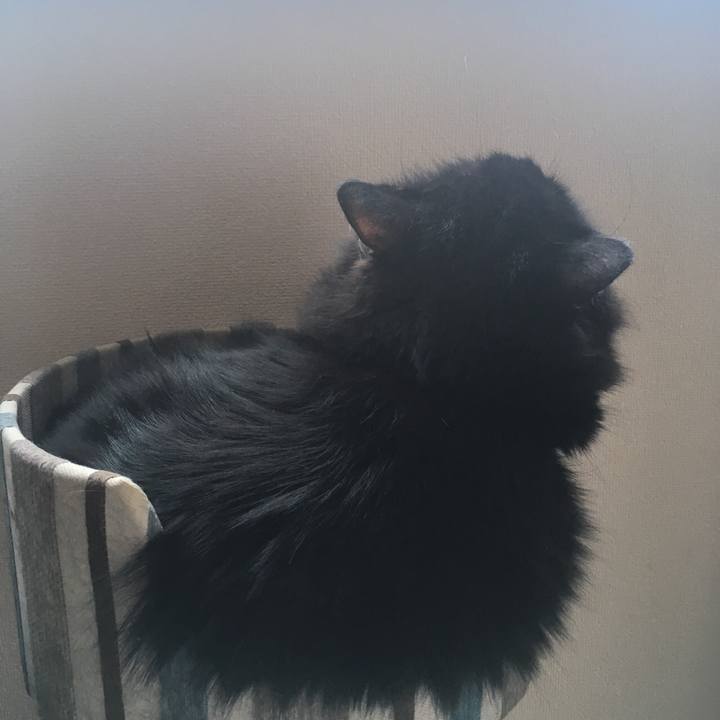 A33f4c6a 1479 4f6f 9b9d e68f1294598b 1563003100385