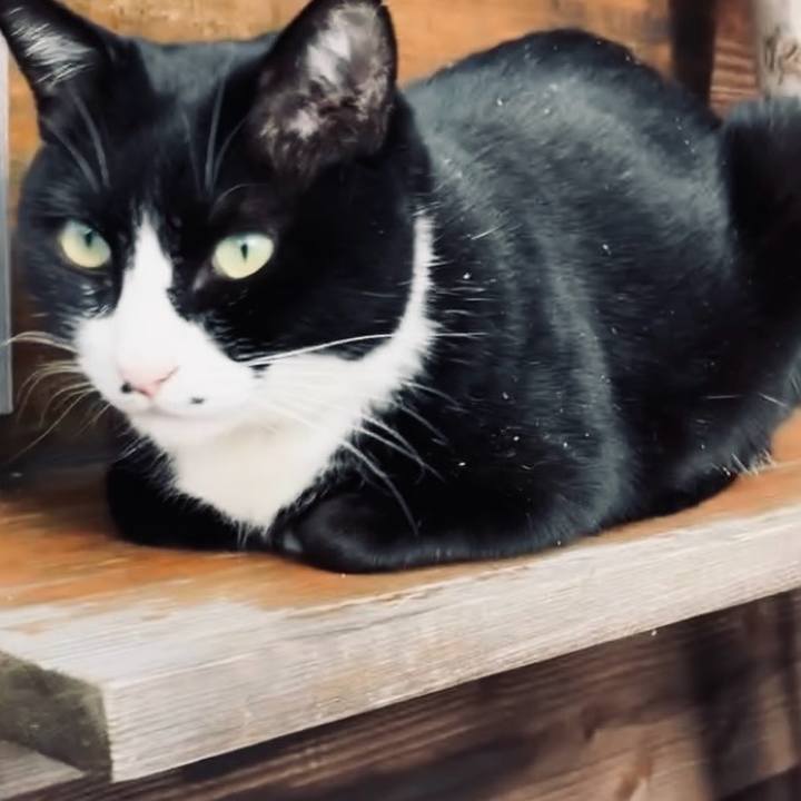 A33f66f6 c983 4272 b121 39c8680ce332 1733541862136