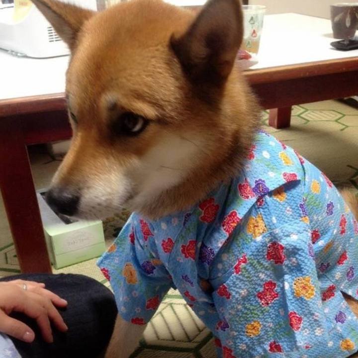 A33f95f6 83ea 4174 b8d1 8488adf87656 1590844960366