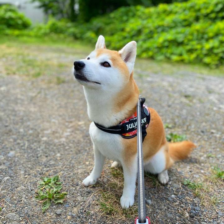 A33f9ca6 2252 47d9 82cf 1d97f981ff5c 1689594685660