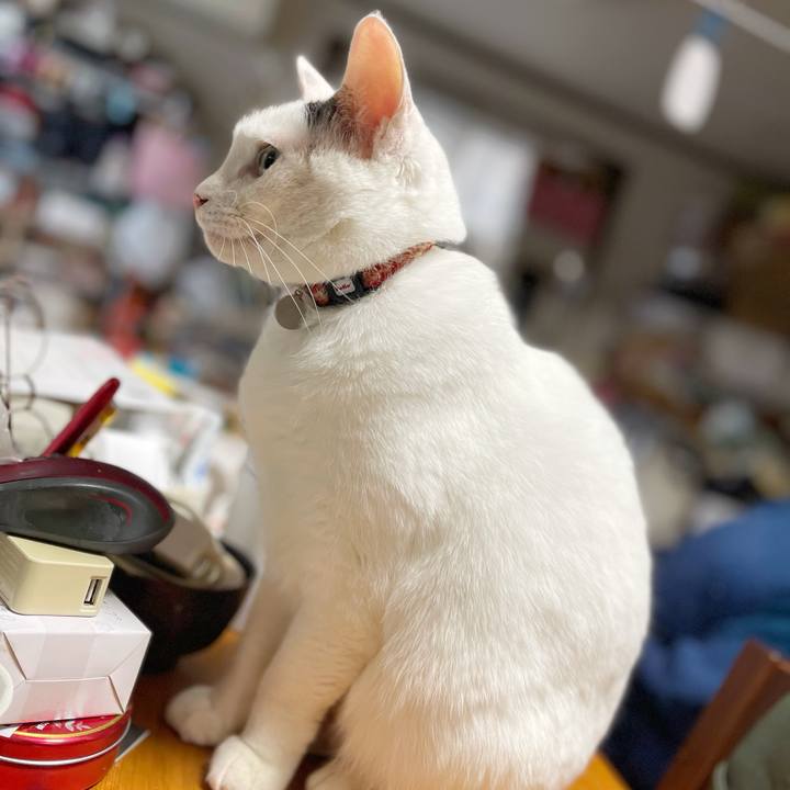 A33ff7d3 2fa7 496a 84fd 73a2d5a9d2f9 1770677173060