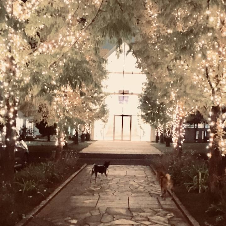 A340347d 5fd4 4e4e 9514 07381380081f 1573292056852