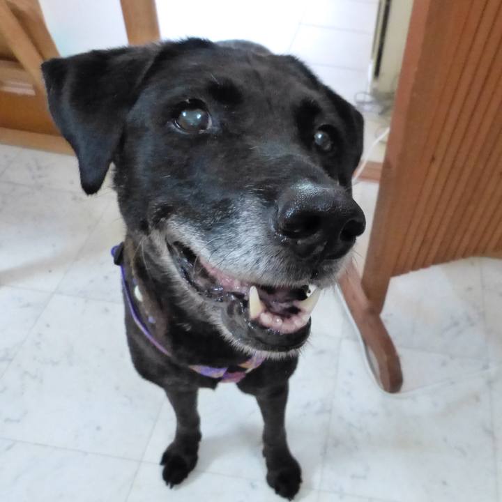 A340a6d3 d8bc 4e31 893a 534cdb56187a 1535761331394