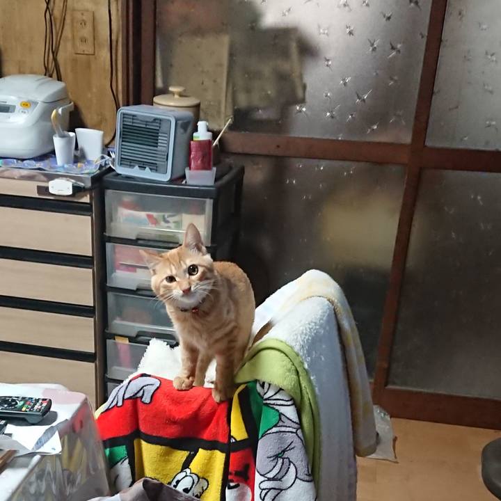 A340caf3 5390 4709 a57a f95a7a32fcea 1635545671417