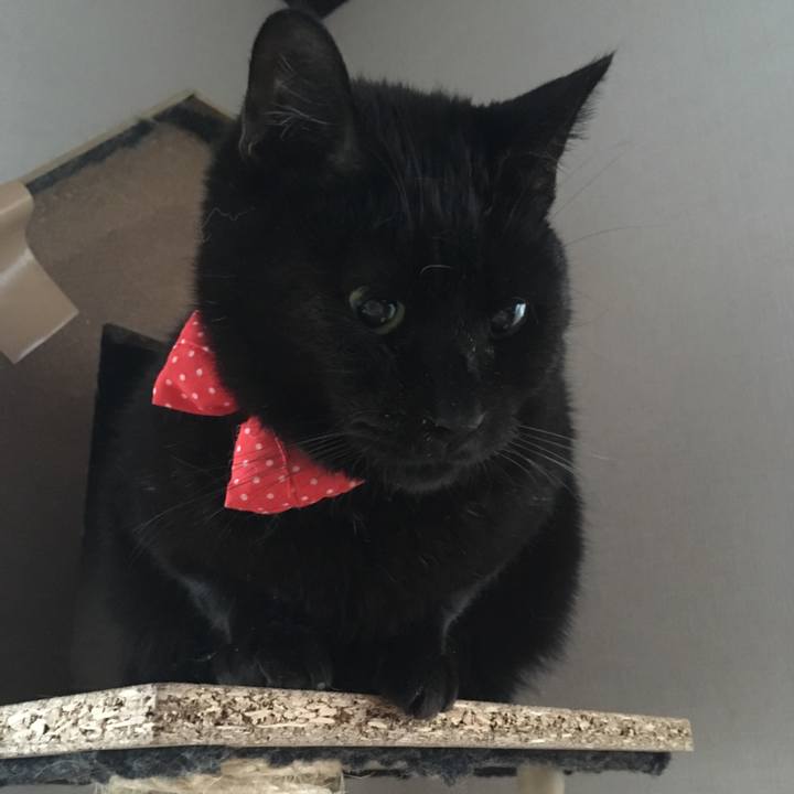 A3413367 274e 4724 949a b4442878b6d4 1547850830317