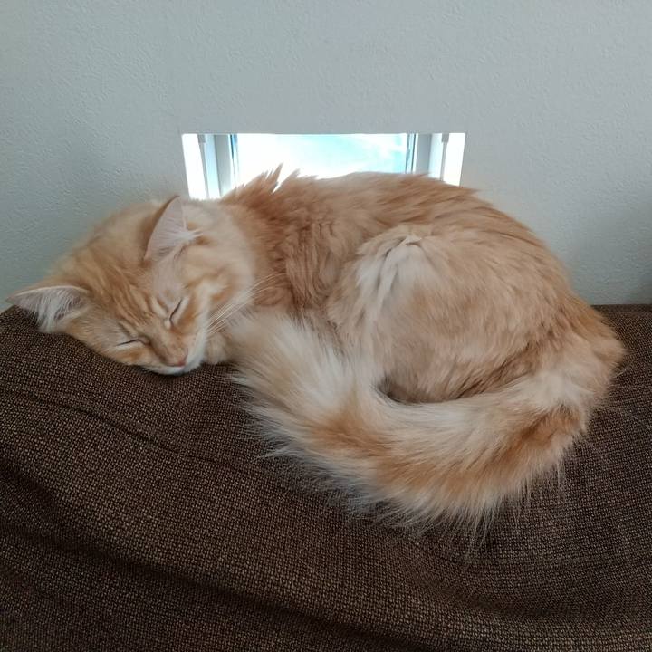 A3414961 bf99 4b4d 8148 36d90b485427 1636681707481