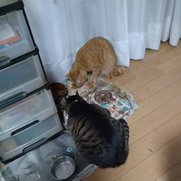 A3416650 db12 495d 8752 0e902b8c8ea1 1676415416213