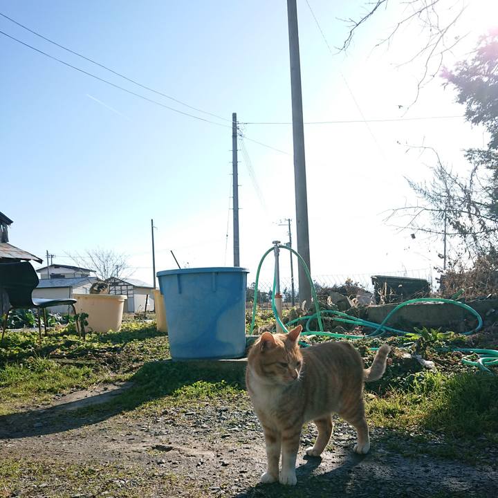 A341774d 00db 4268 b531 29495f81e647 1576897921554