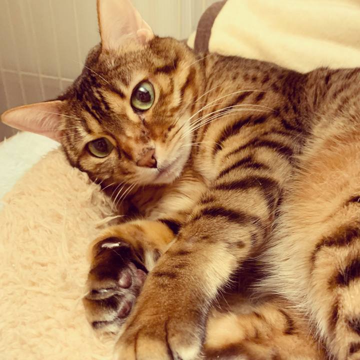 A341b24c 7d1c 4e02 82b4 ad4b792fb07e 1614383552689