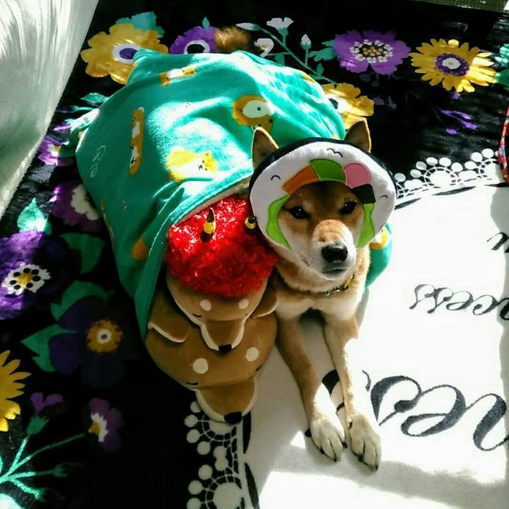 A341cd2a 9bf1 46f0 9206 26eef3f1a1a8 1548301369302