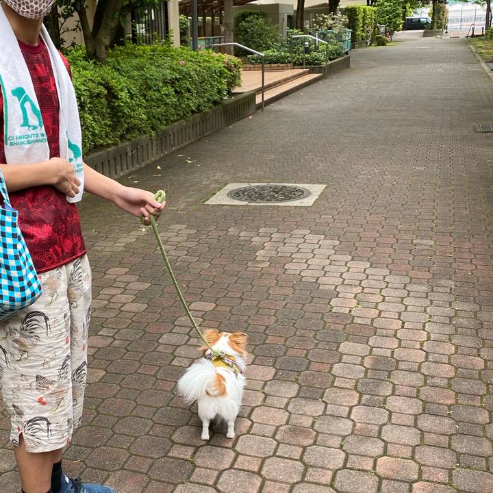 A341de8a e52b 487f 9a06 460c6a6e1af7 1590813609187