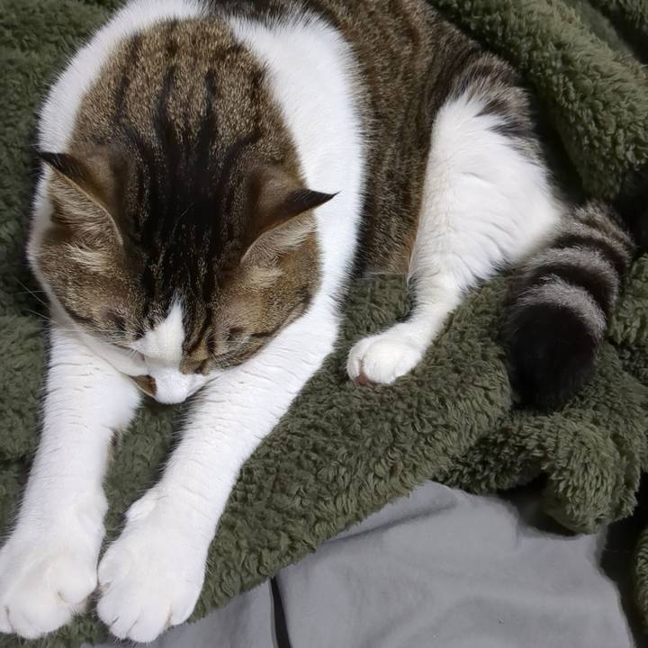 A341e393 cfcf 48ef a5a5 7ad079c3d262 1696818144142