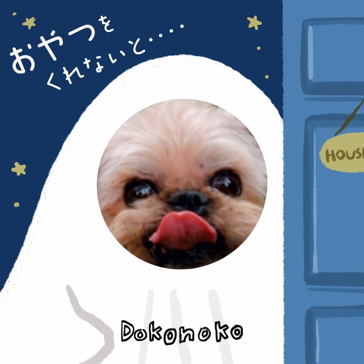 A3422a6a d90b 4389 b88a 6a05a0c33270 1729117889195