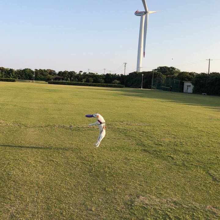 A3422b4c e648 4cb0 bbb4 d7b9b992f86f 1524920930251