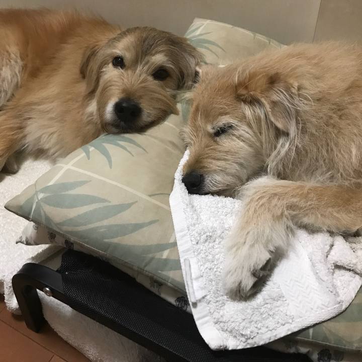 A34248d3 878d 4974 ba54 9d99e9b47e69 1617471768173