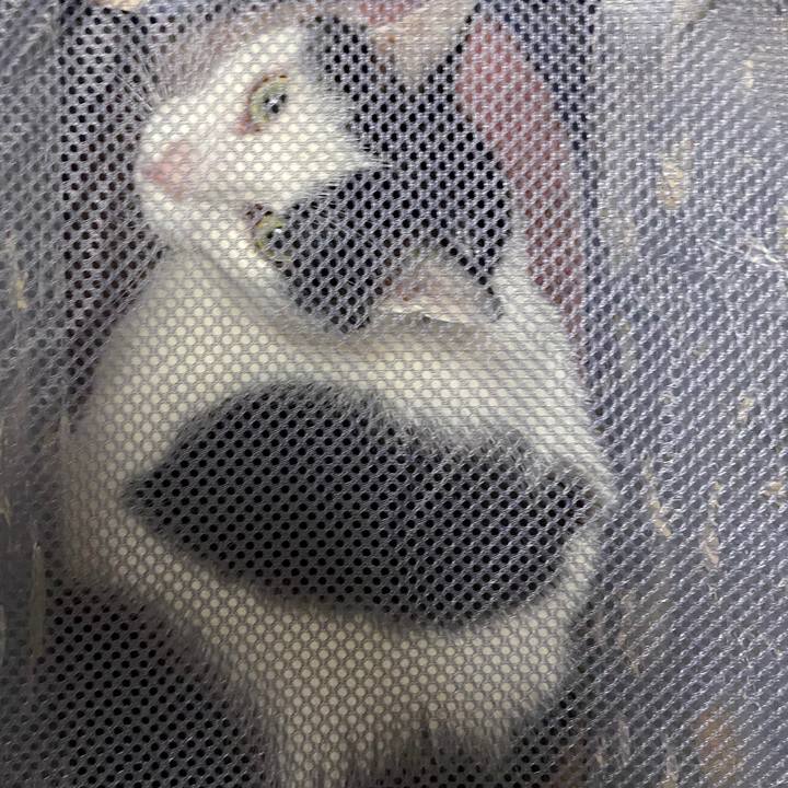 A34273c2 6992 41c8 884e eab68285a8cb 1582283282163