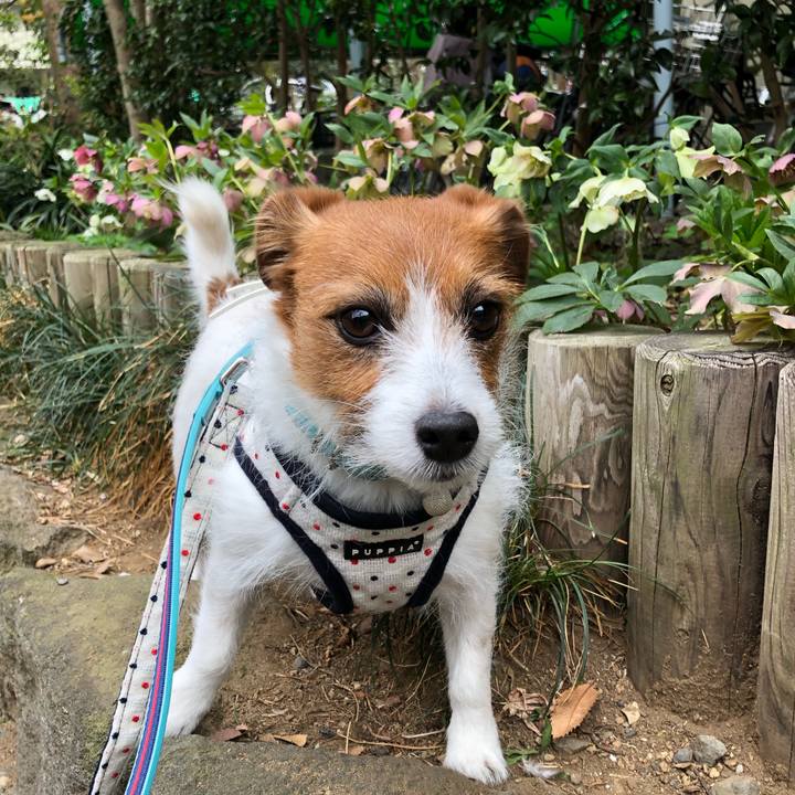 A3429309 dc26 49f2 a655 70ec06e25acb 1553926604297