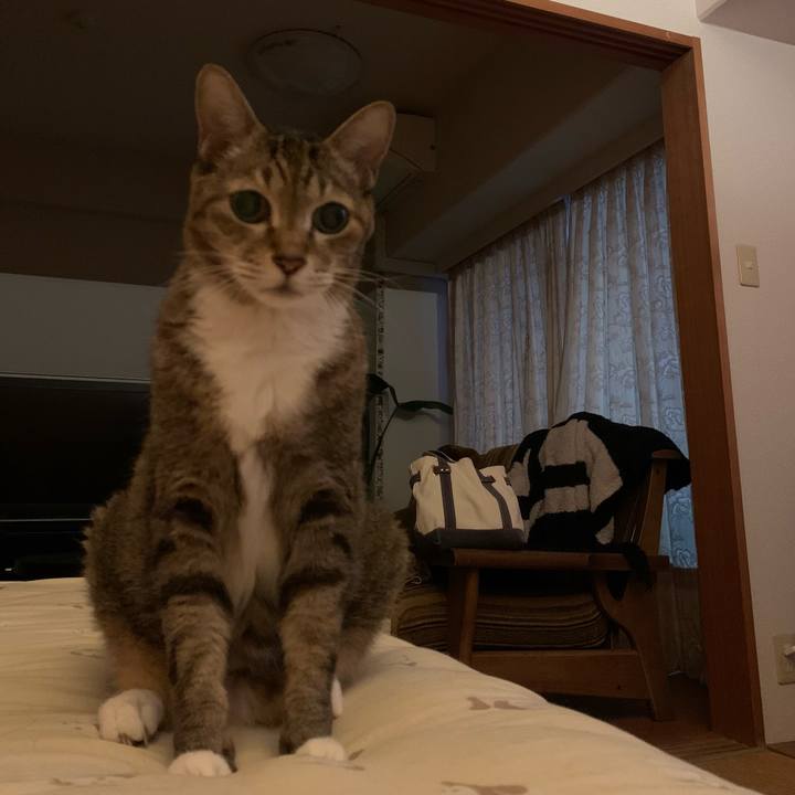 A342bbf7 dcb3 4a99 b8e2 3411a04dba10 1632625088426