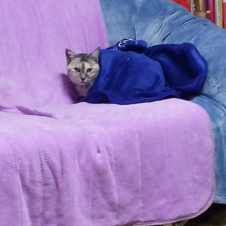 A342d3db 4ed6 410e 82a8 6eb3d52e5e15 1508769581555