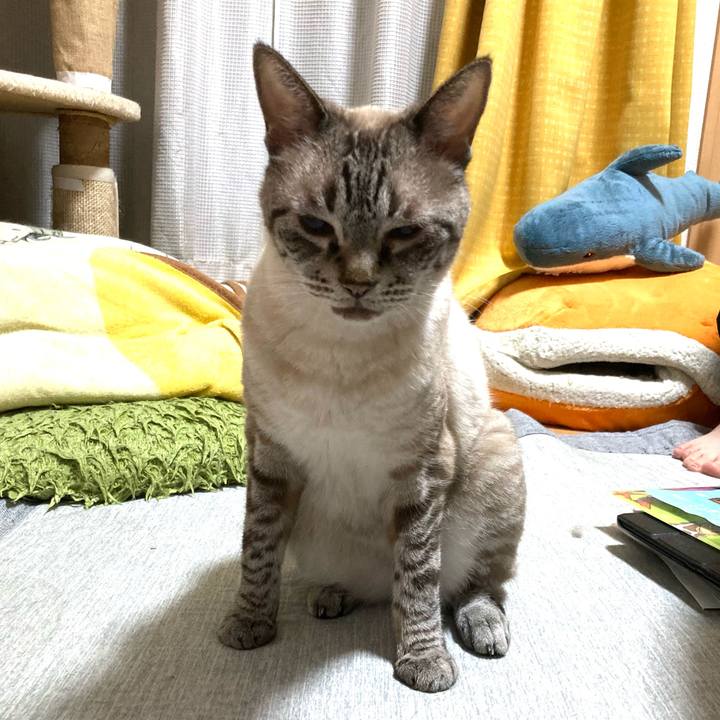 A3430748 156e 4cf3 a8bf 424df5b4bd9c 1760349970047