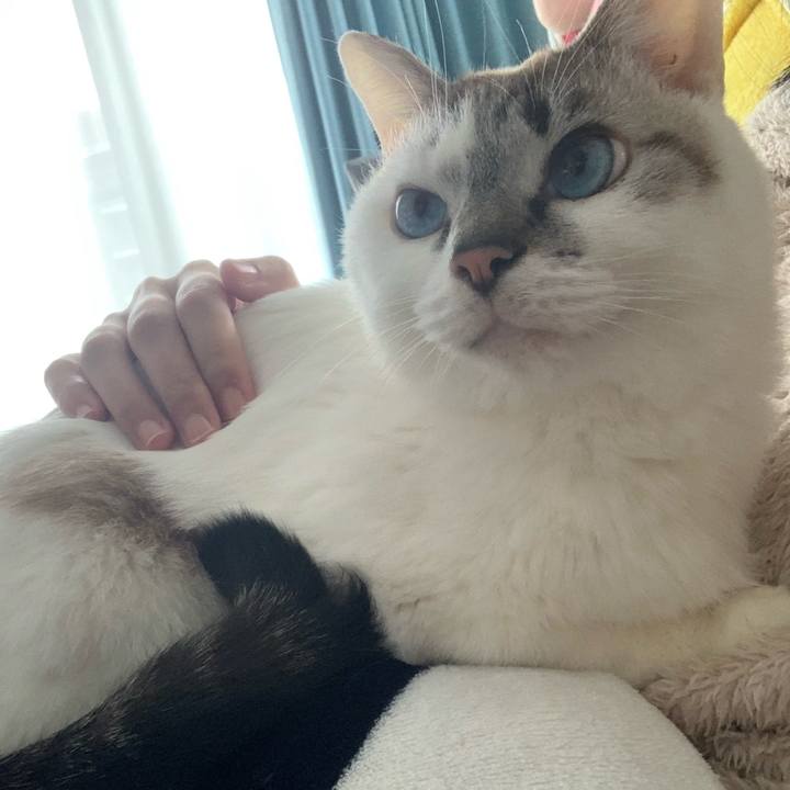 A343130b 3131 4a82 8fe7 79109b6693f0 1645332909171