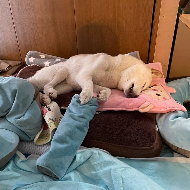 A34349ba 259c 4cc4 985b 77cc9d2b7e4a 1649848489241