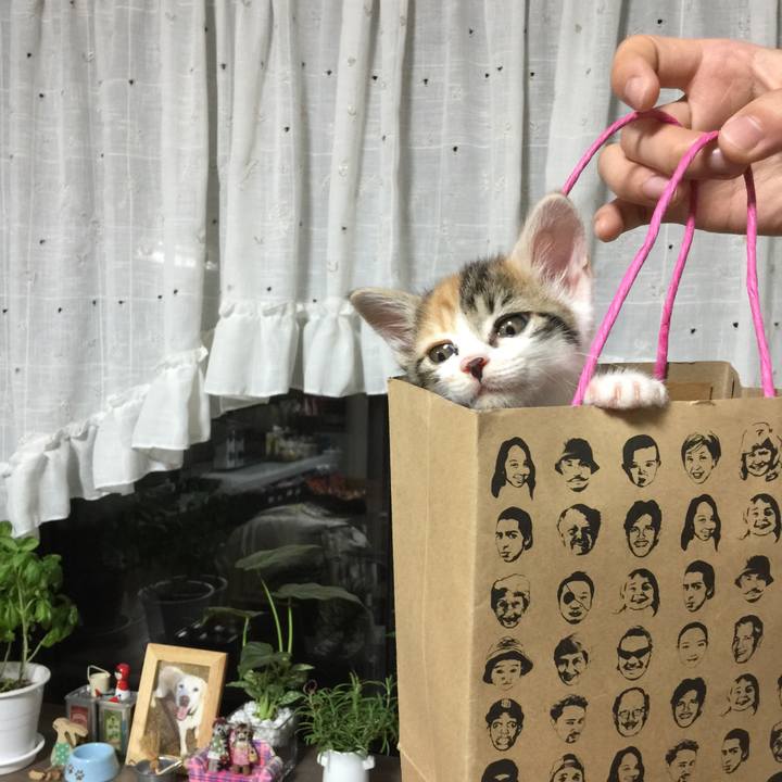 A3435439 4e1f 4180 ae12 1d814deaa8a3 1668603533983