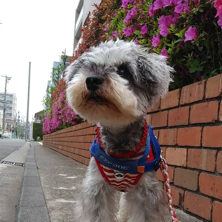 A3436268 2ae1 4684 b0ae 33fe03049c50 1650927463602